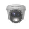 Camera IP Dome hồng ngoại 2.0 Megapixel Grandstream GSC3610